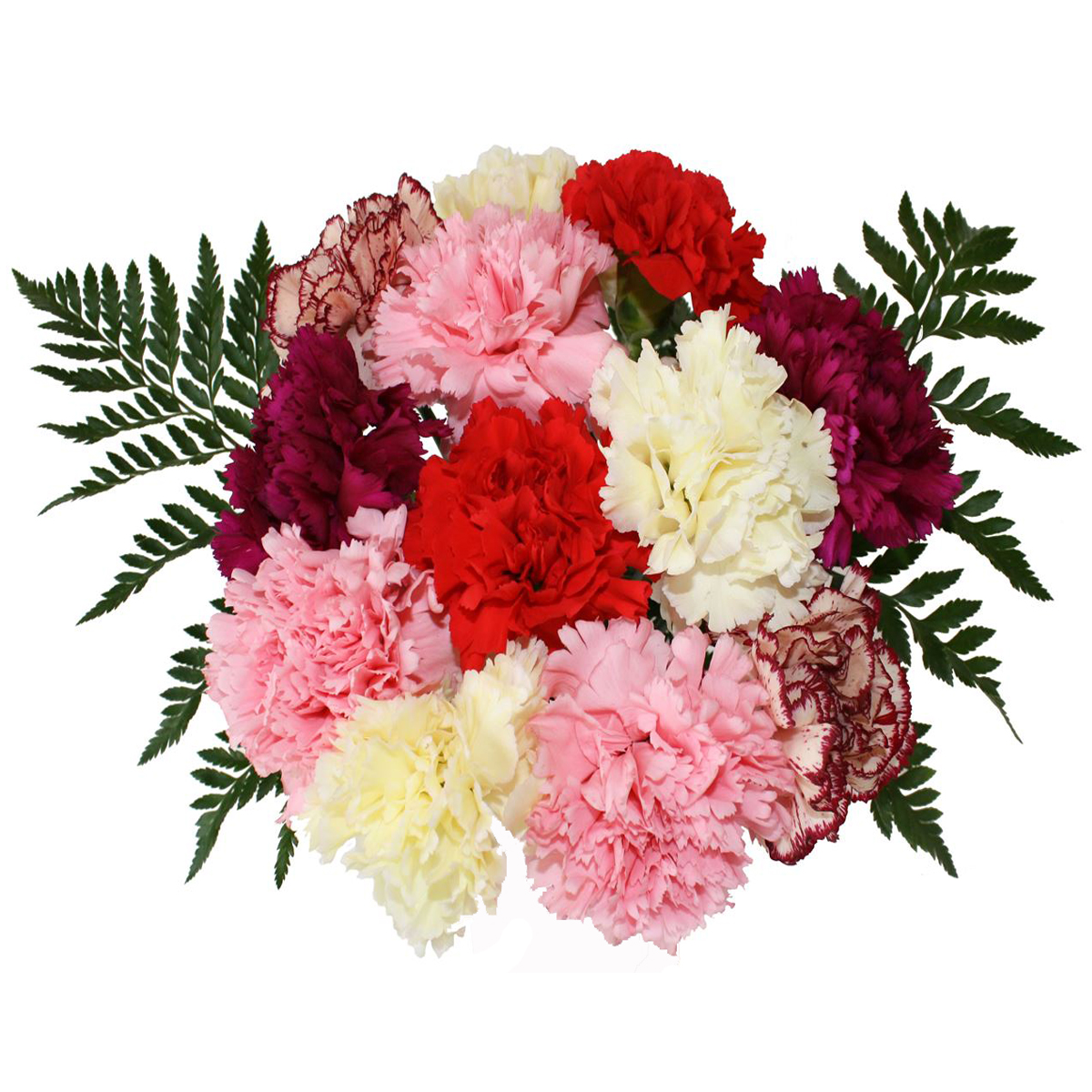 mix-carnations-bouquet