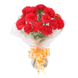 Bunch of 15 Red Carnations