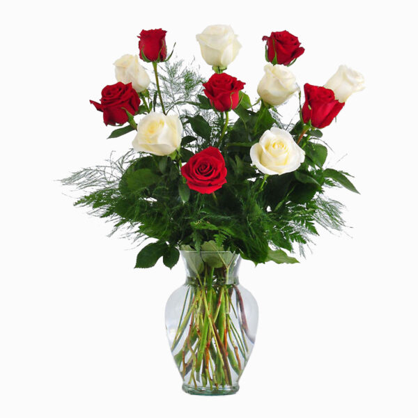 red-and-white-roses-in-a-vase