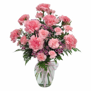 20 Pink Carnations in a Vase