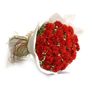 Hand Bouquet of Red Carnations