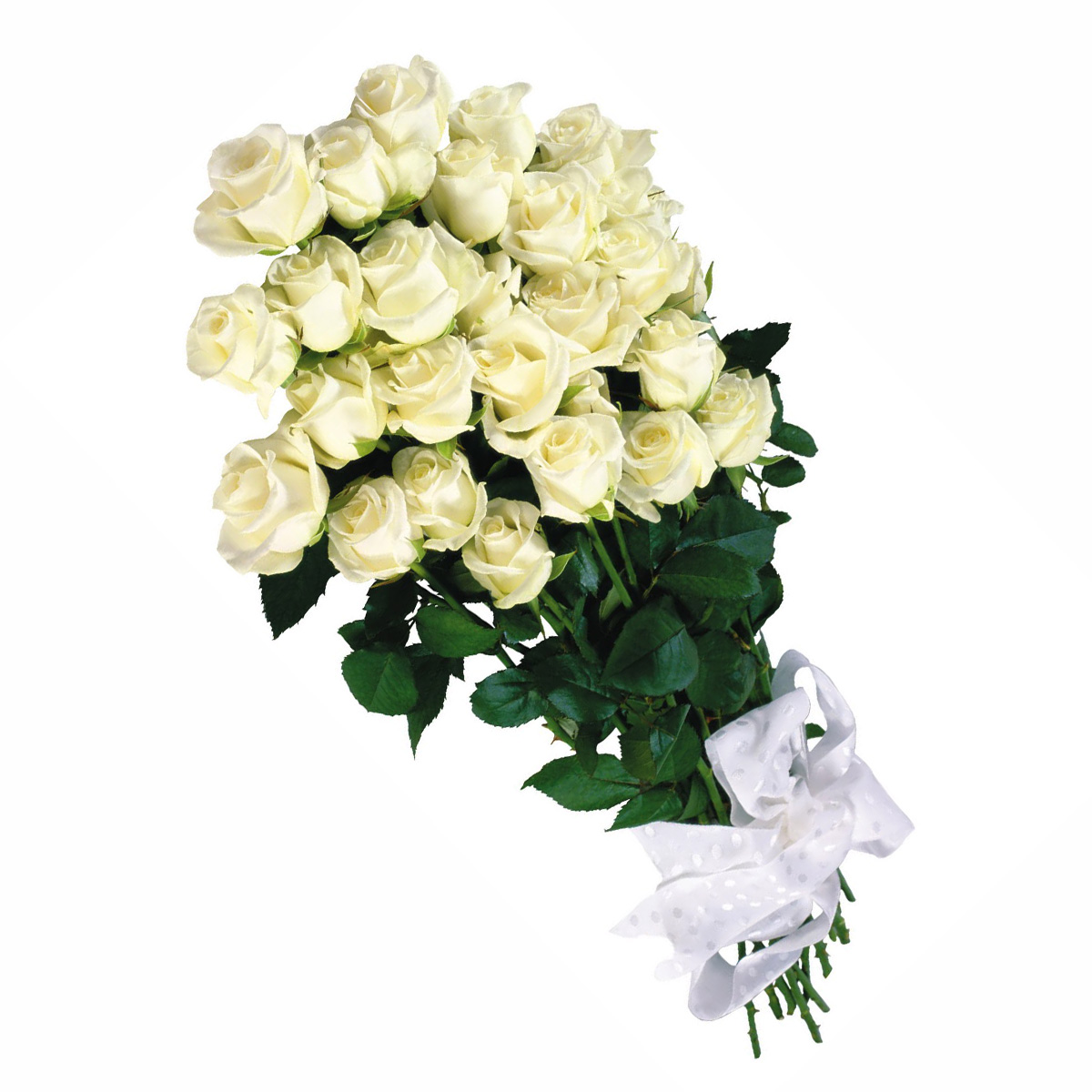 white-roses-bouquet